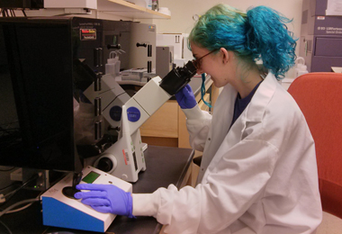 Preisser's research at UT-Dallas focuses on the CRISPR Cas9 gene editing system.