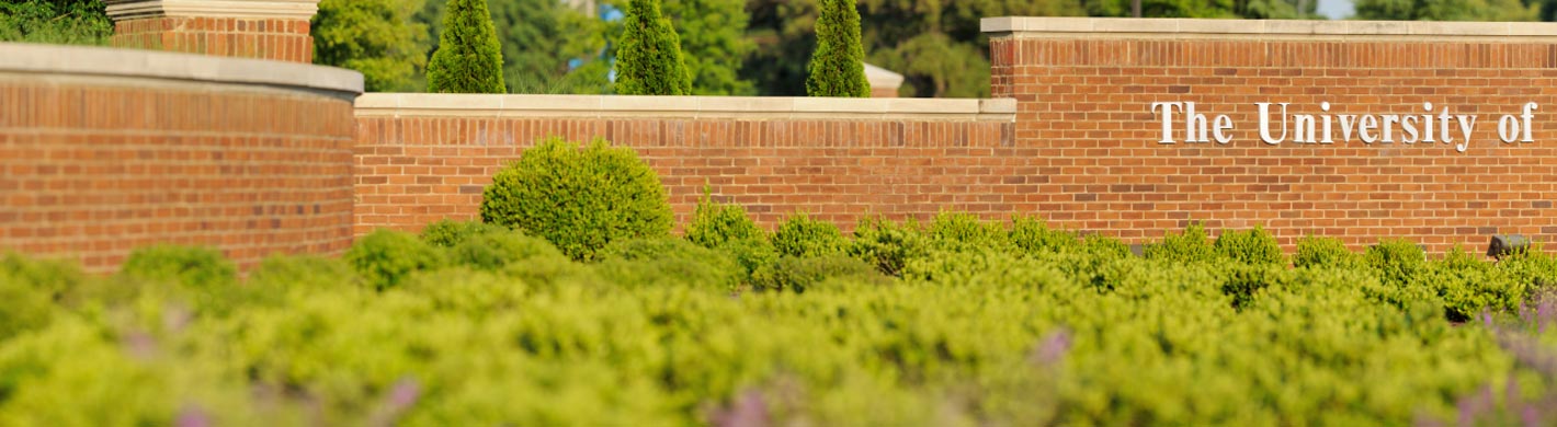 slide 1 background image